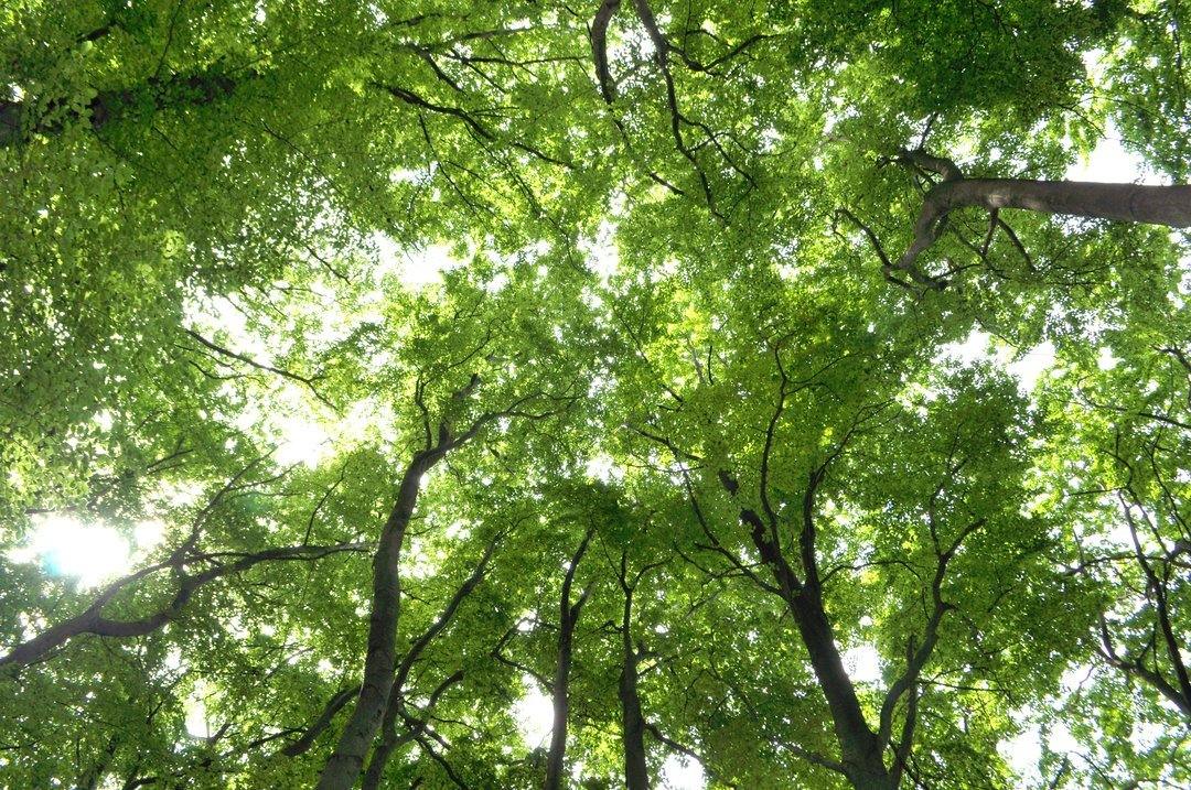 Sustainability - DOUCEURSOFT.COM