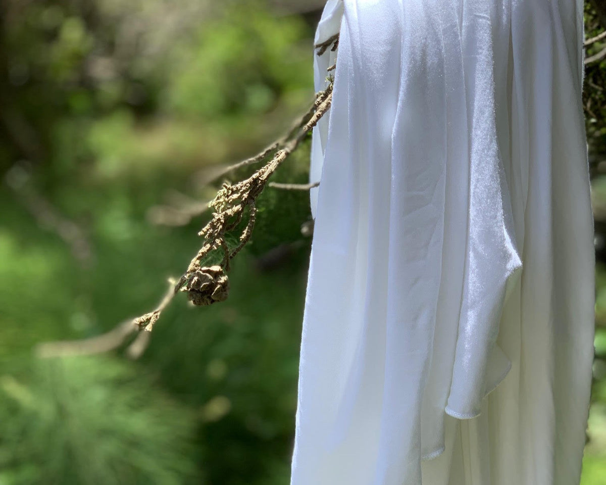 Modal vs. Organic Cotton: What’s the Difference?